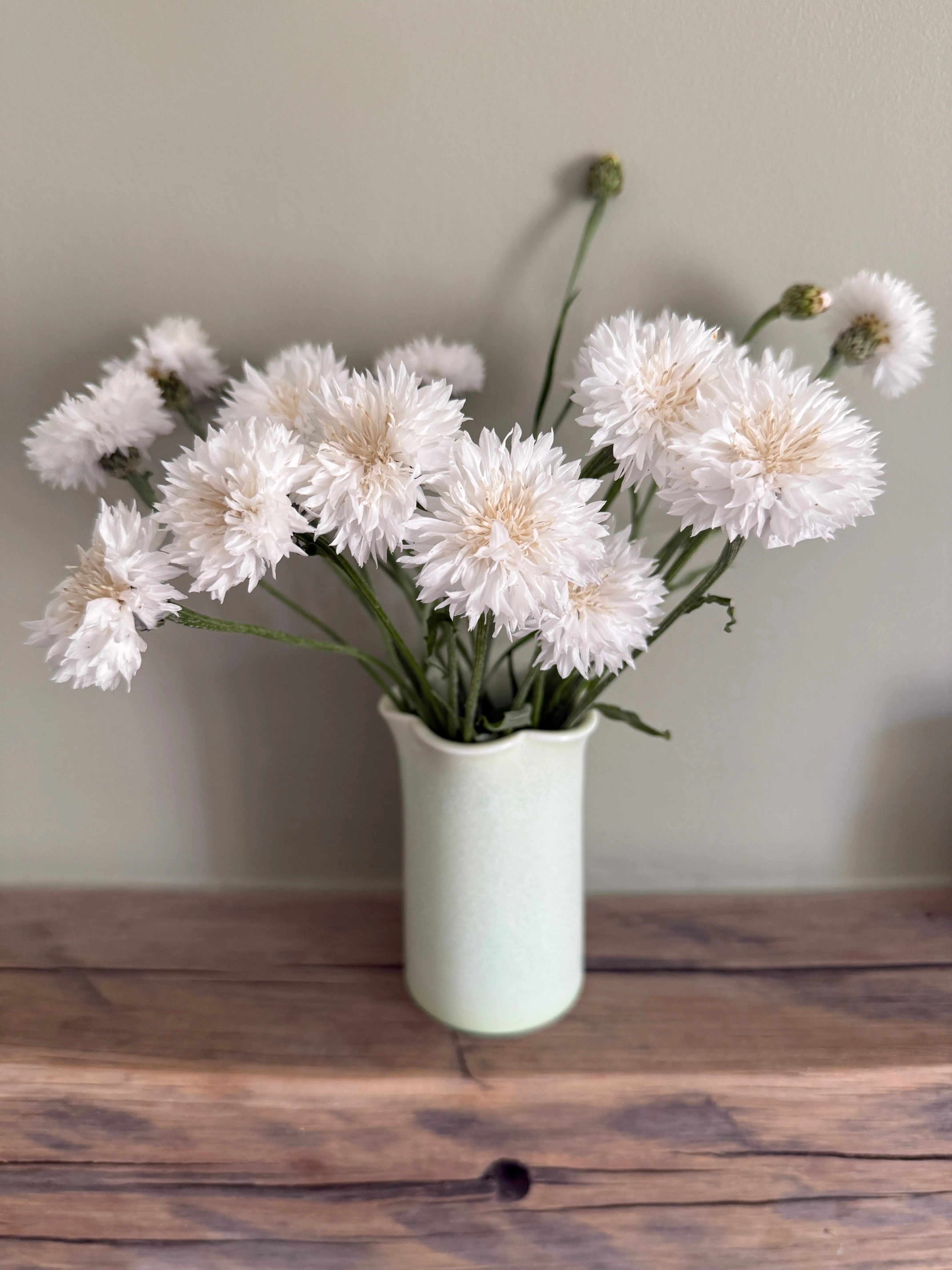 Cornflower Snowman - REGN