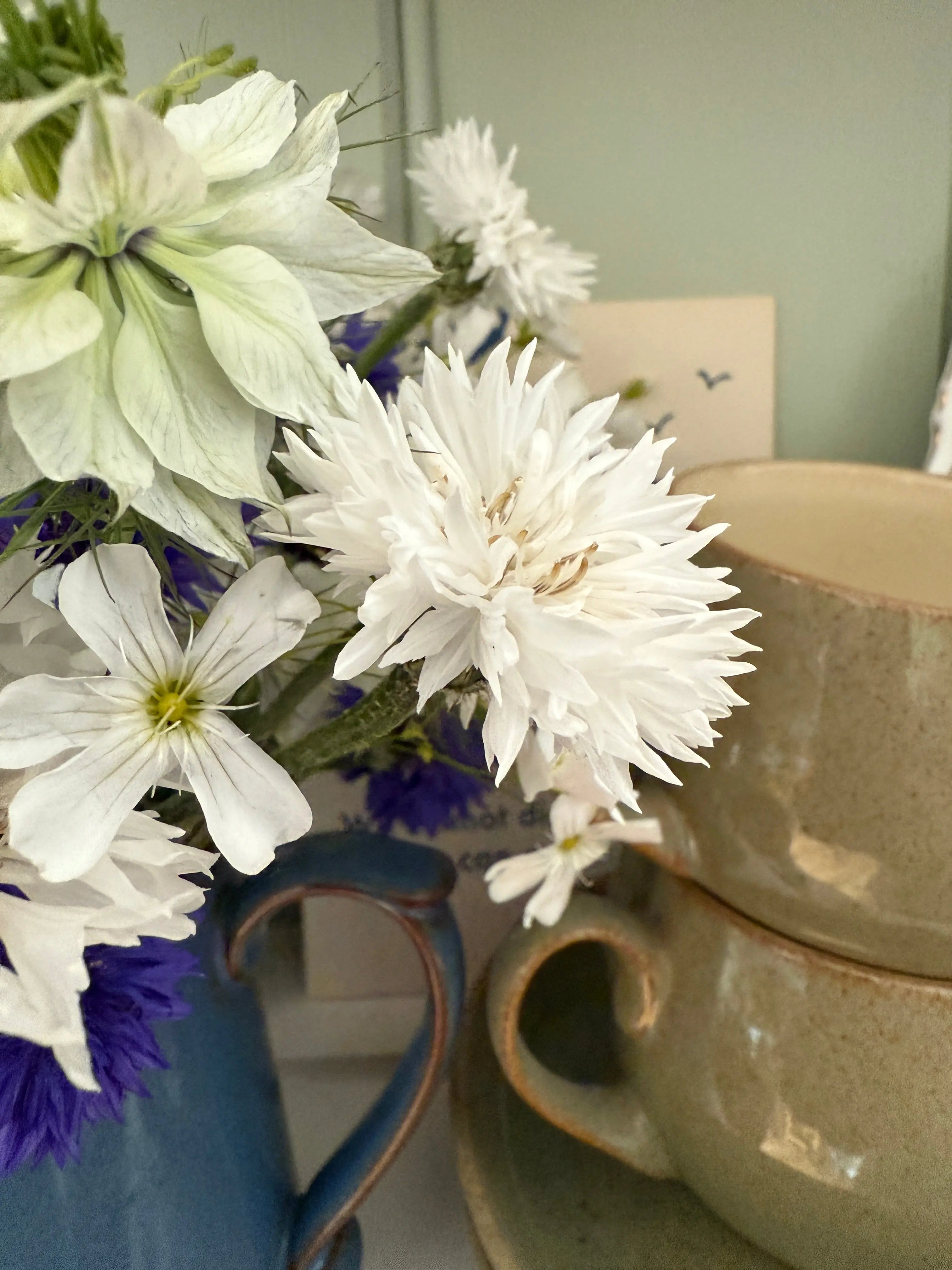 Cornflower Snowman - REGN