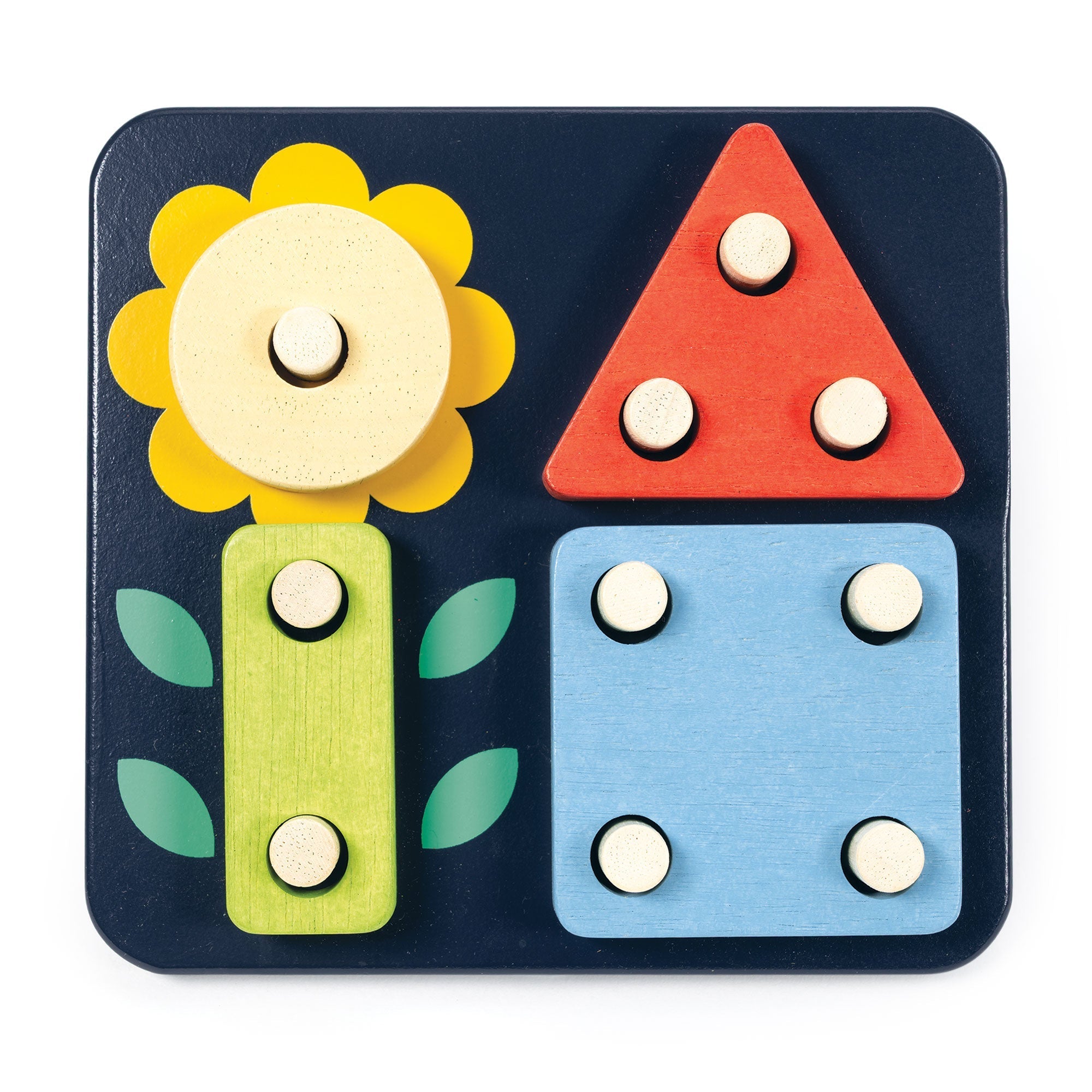 Count and Match Peg board - REGN