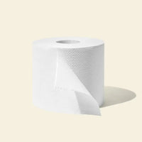 Classic Recycled Toilet Roll | Double Length 4 Pack