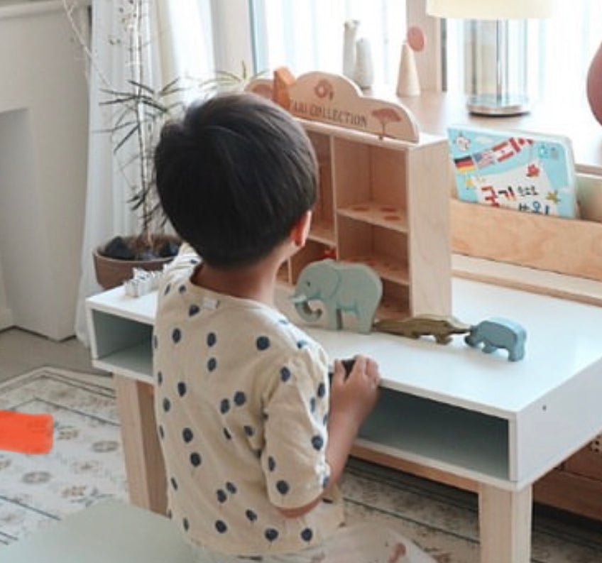 Desk and Chair - REGN