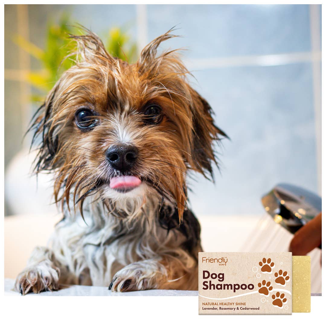 Dog Shampoo Bar – Pest - Repelling & Calming Formula - REGN