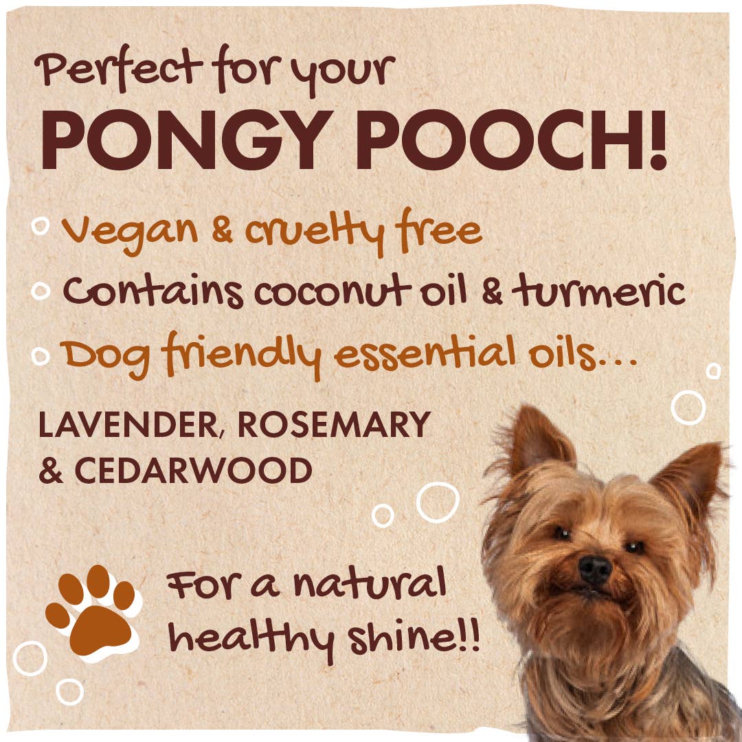 Dog Shampoo Bar – Pest - Repelling & Calming Formula - REGN