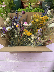 Dried Flower Craft Box - REGN