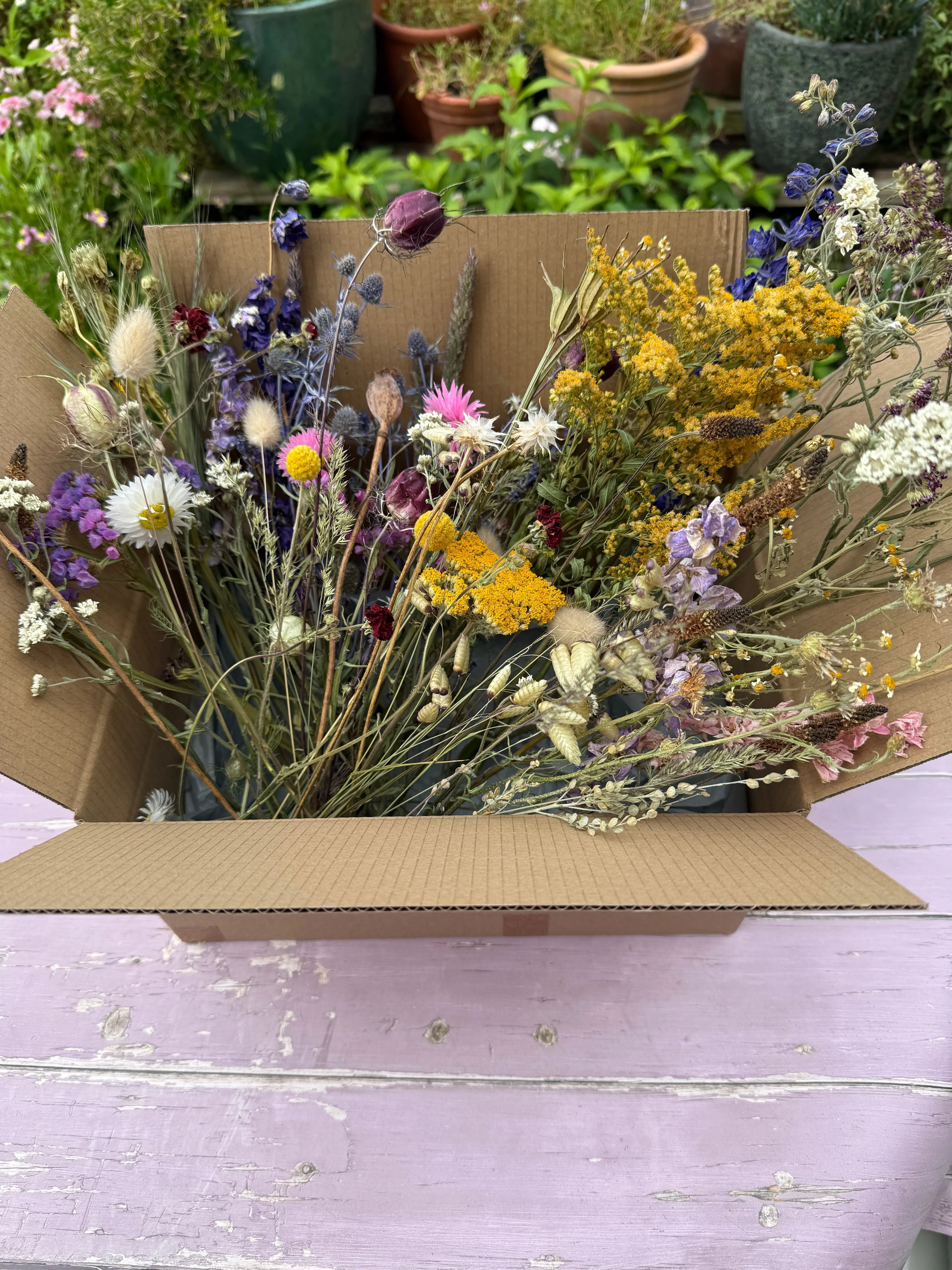 Dried Flower Craft Box - REGN