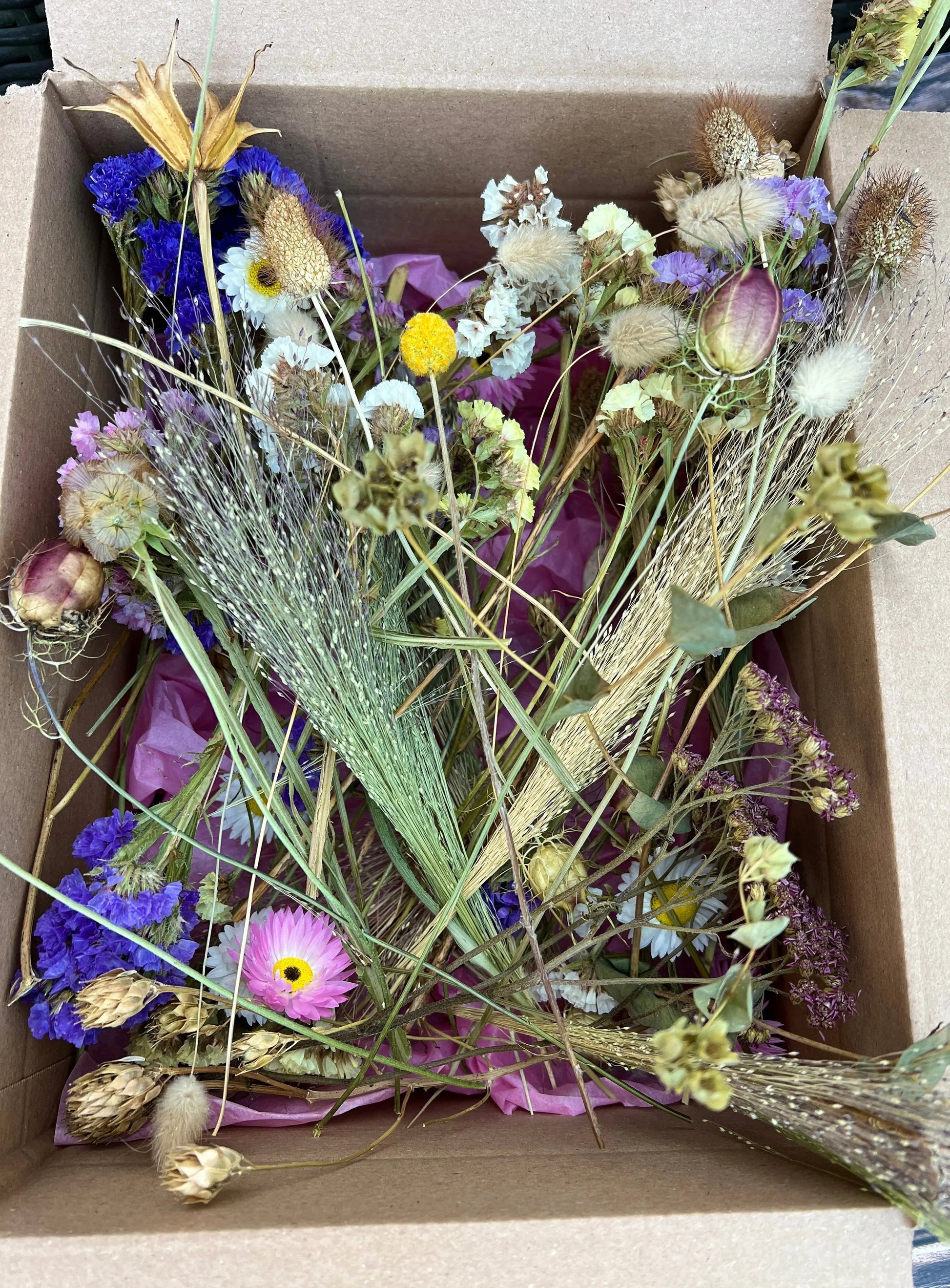 Dried Flower Craft Box - REGN