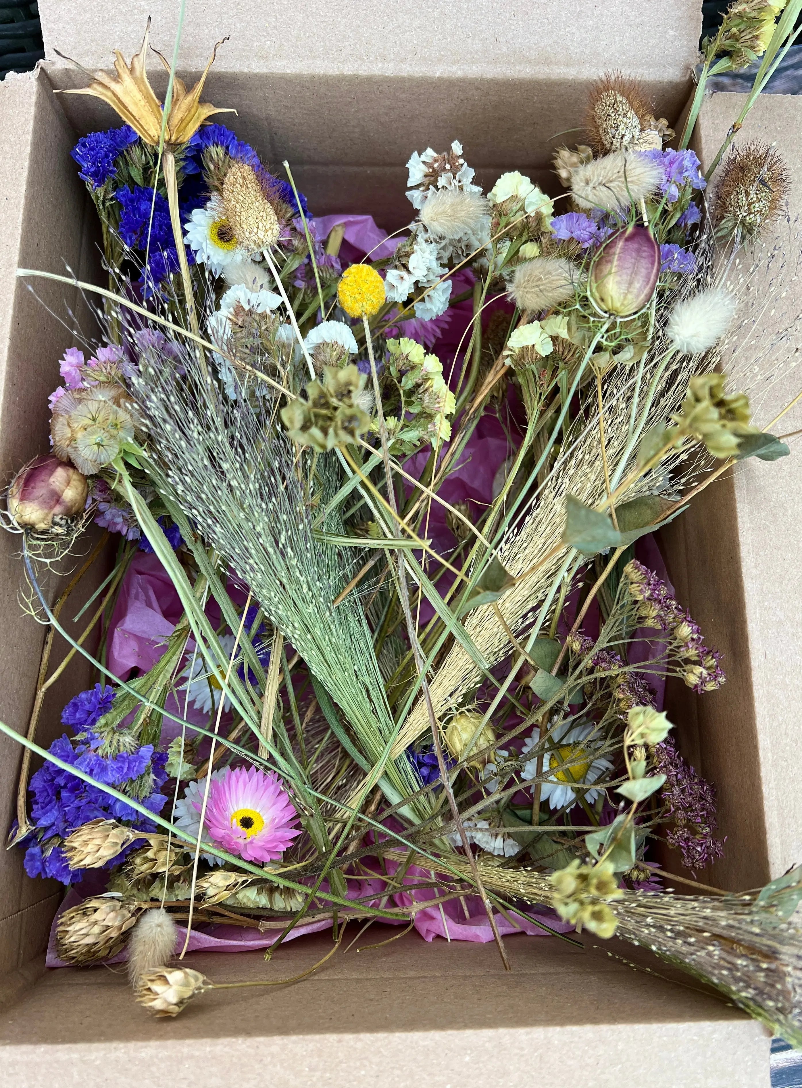 Dried Flower Craft Box - REGN