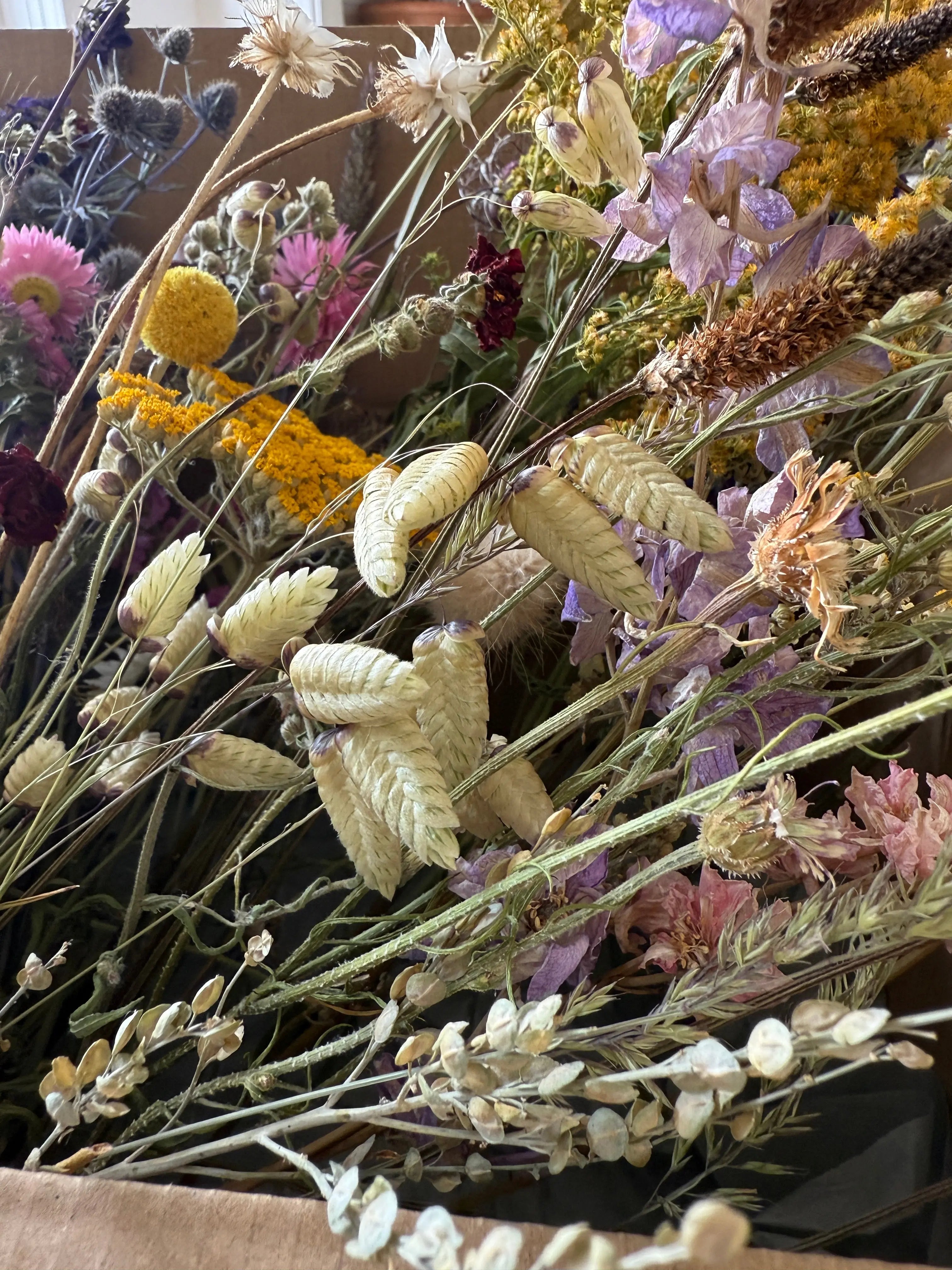 Dried Flower Craft Box - REGN