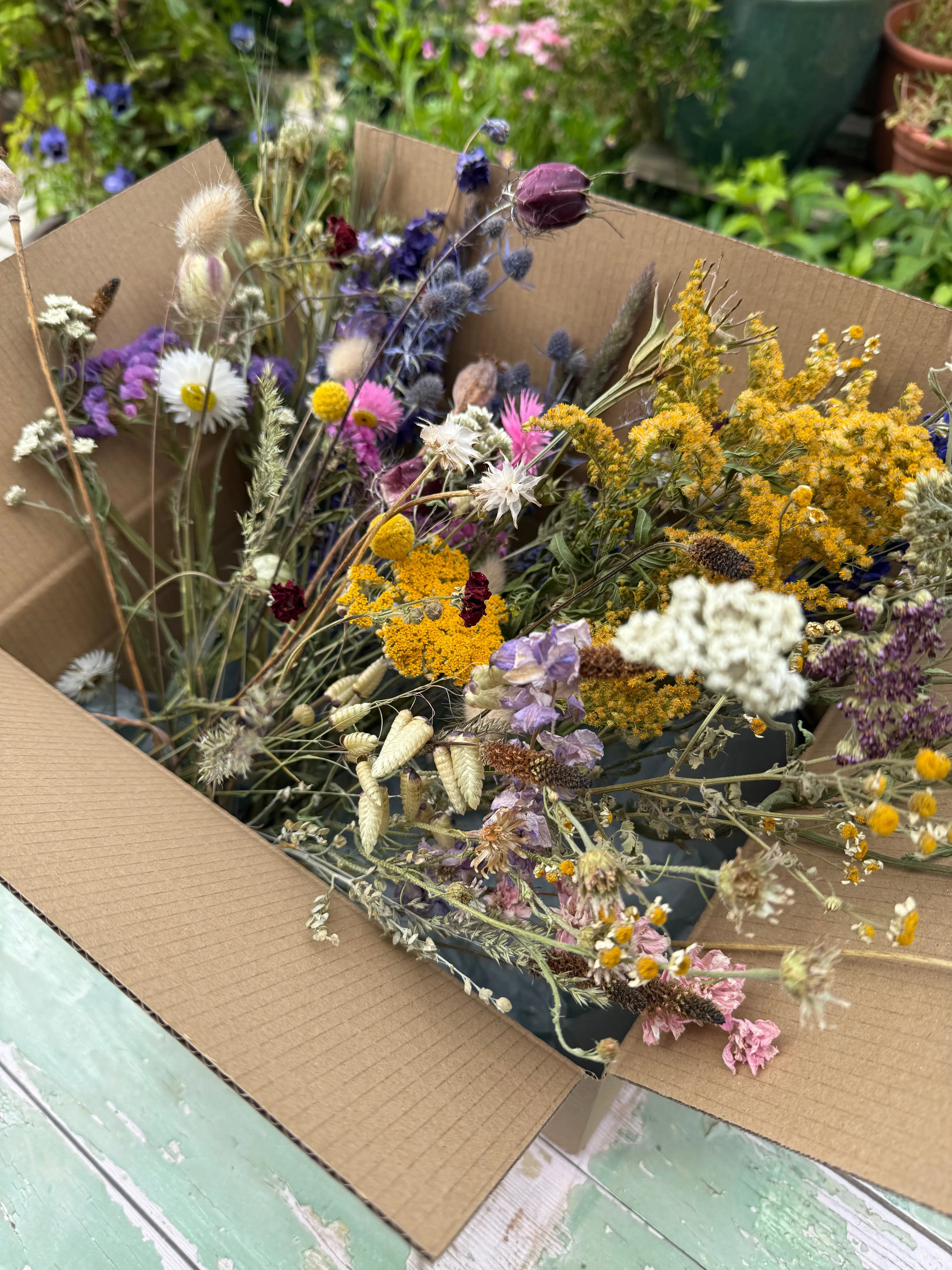 Dried Flower Craft Box - REGN