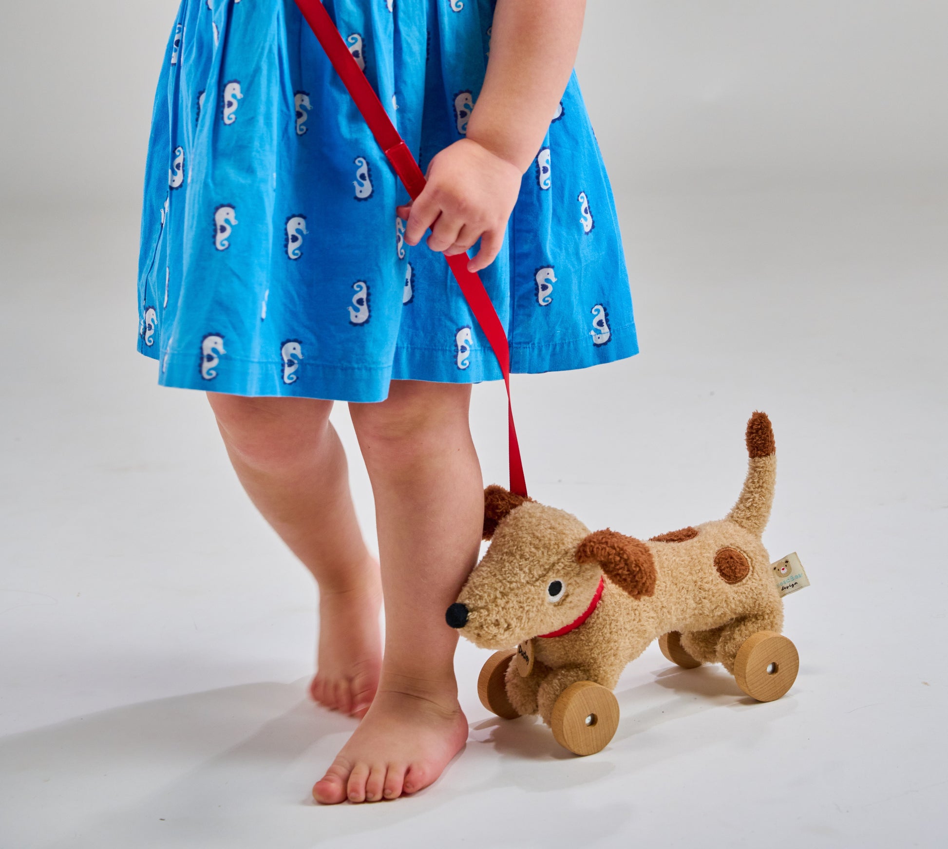 Dudley Pull Along Dog - REGN