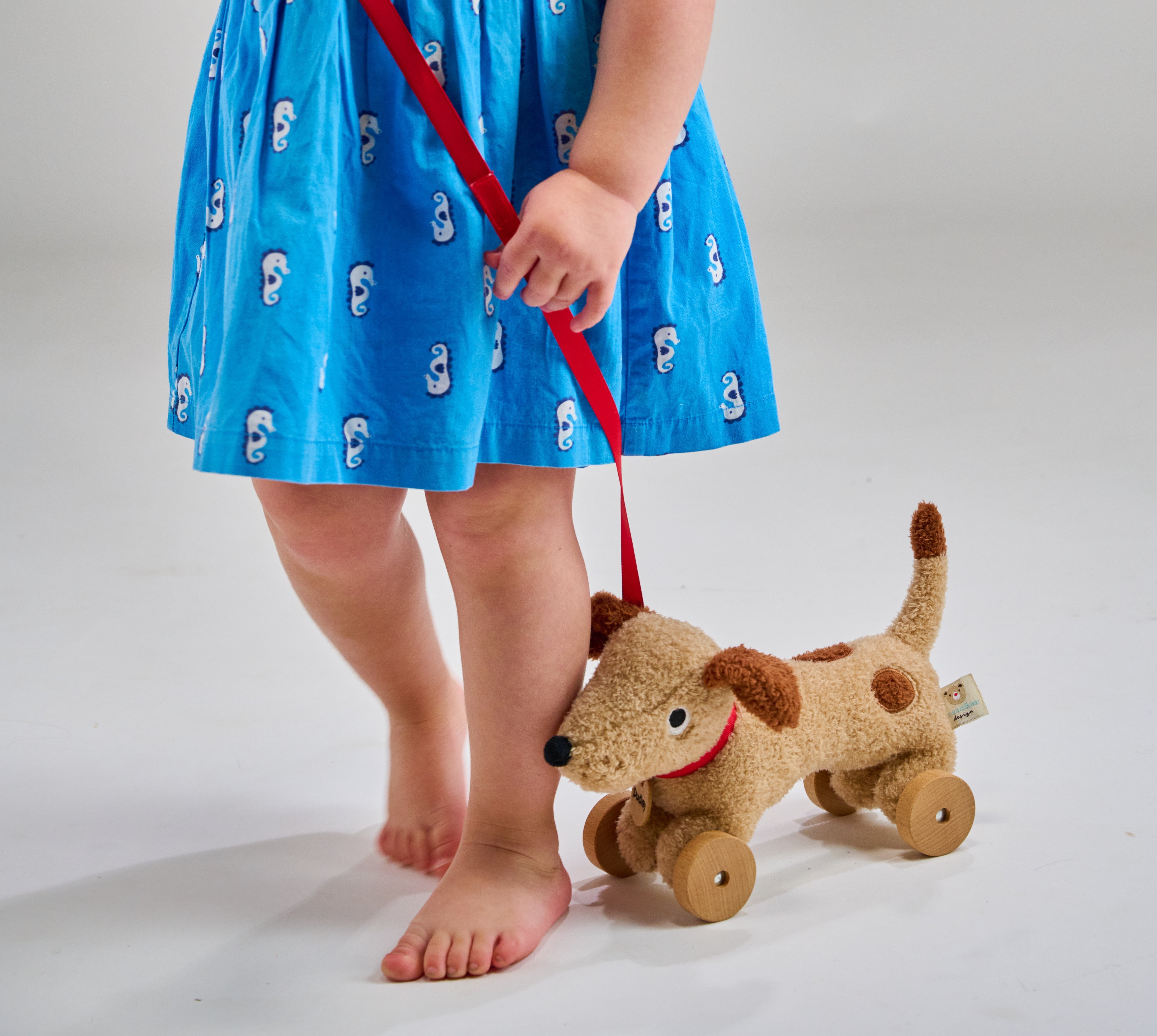 Dudley Pull Along Dog - REGN