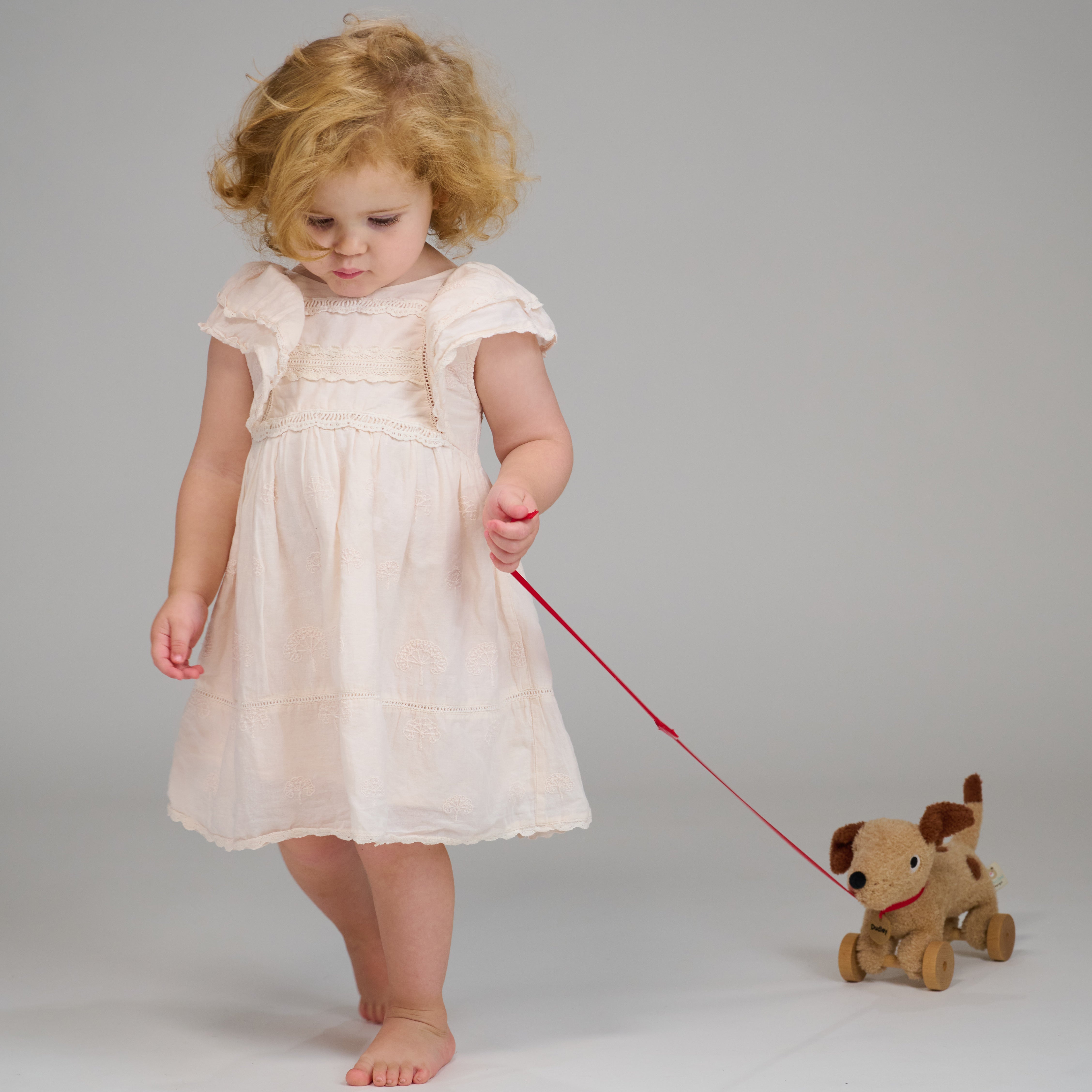 Dudley Pull Along Dog - REGN