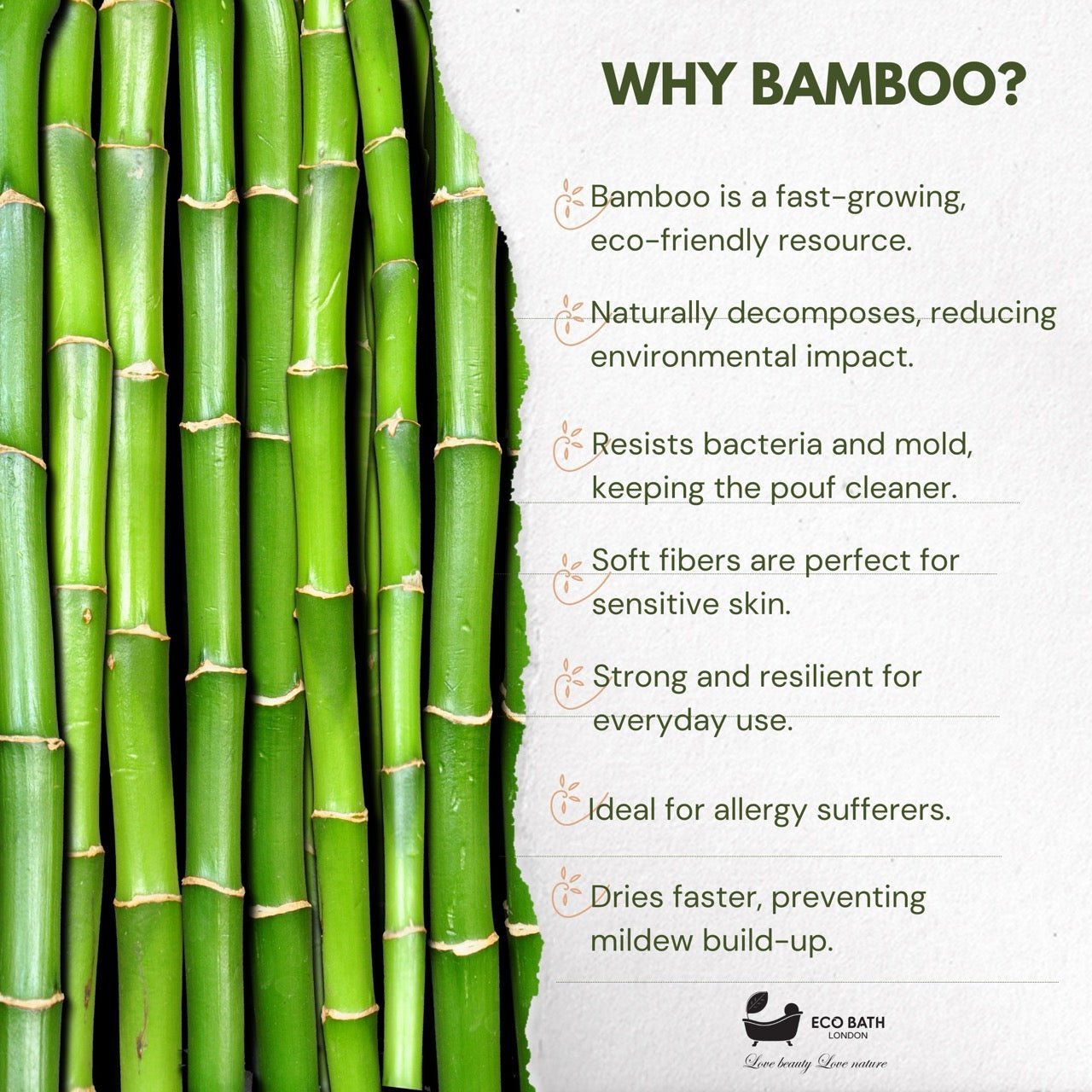 Eco Bath Bamboo Hair Band - REGN