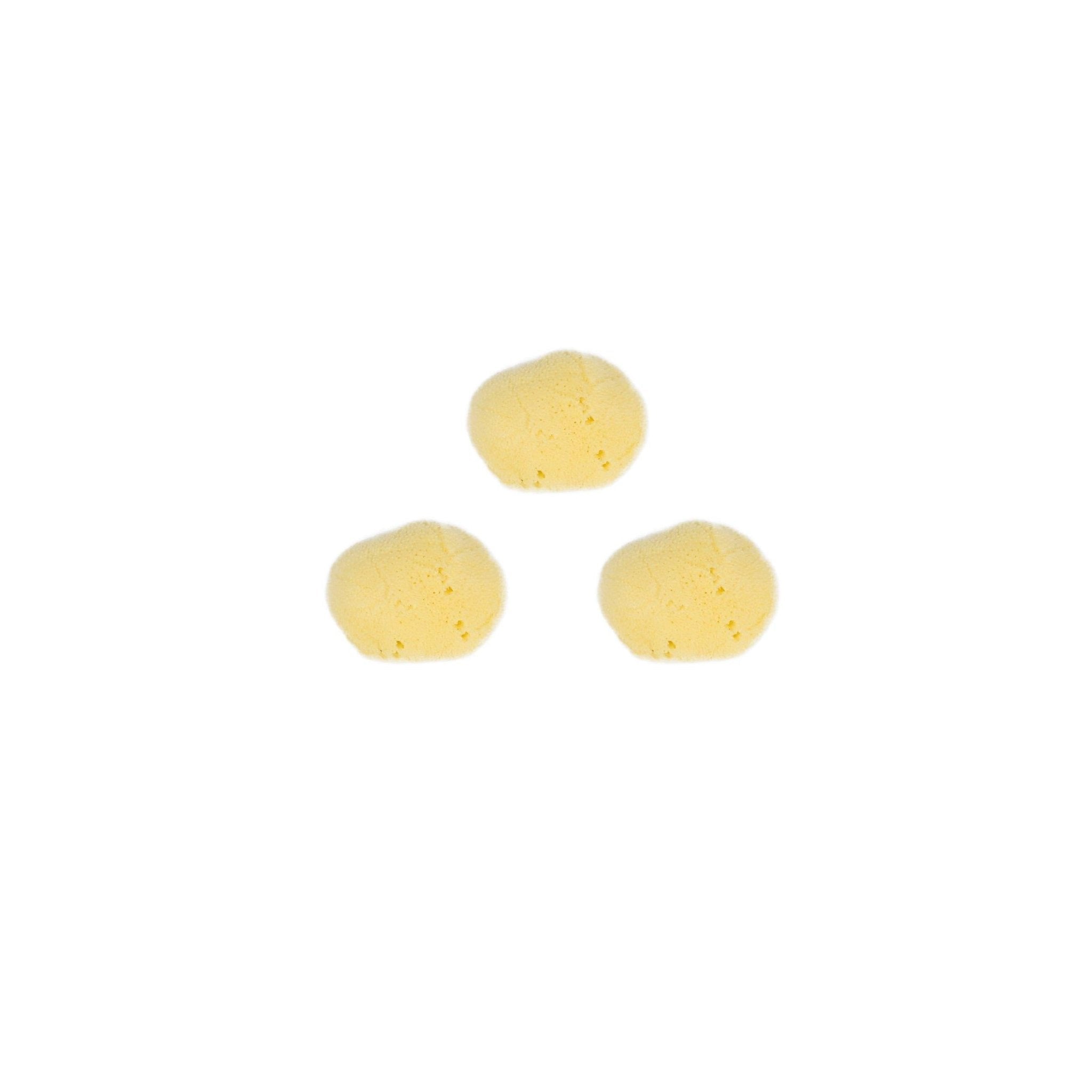 Eco Bath Facial Sea Sponges Set of 3 - REGN
