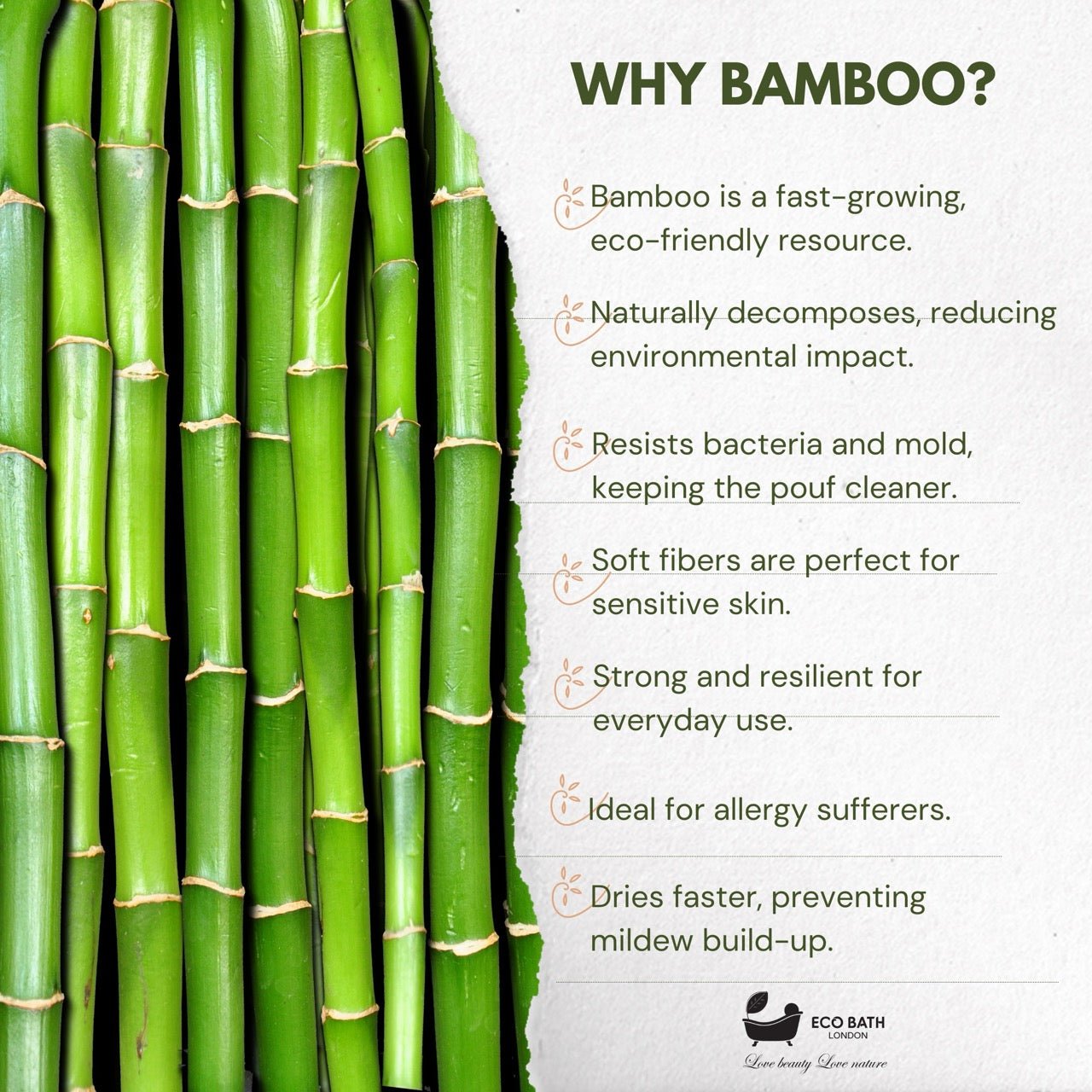 Eco Bath London Bamboo Hair Brush with Boar Bristles - Eco-Friendly Detangling Hairbrush for All Hair Types - REGN
