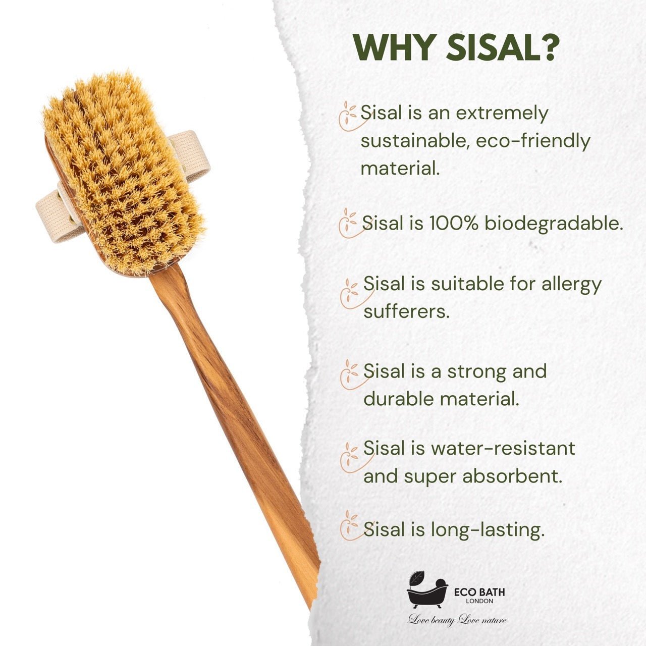 Eco Bath London Luxury Natural Sisal Olive Wood Body Brush - The Ultimate Dry Brushing Body Brush - REGN