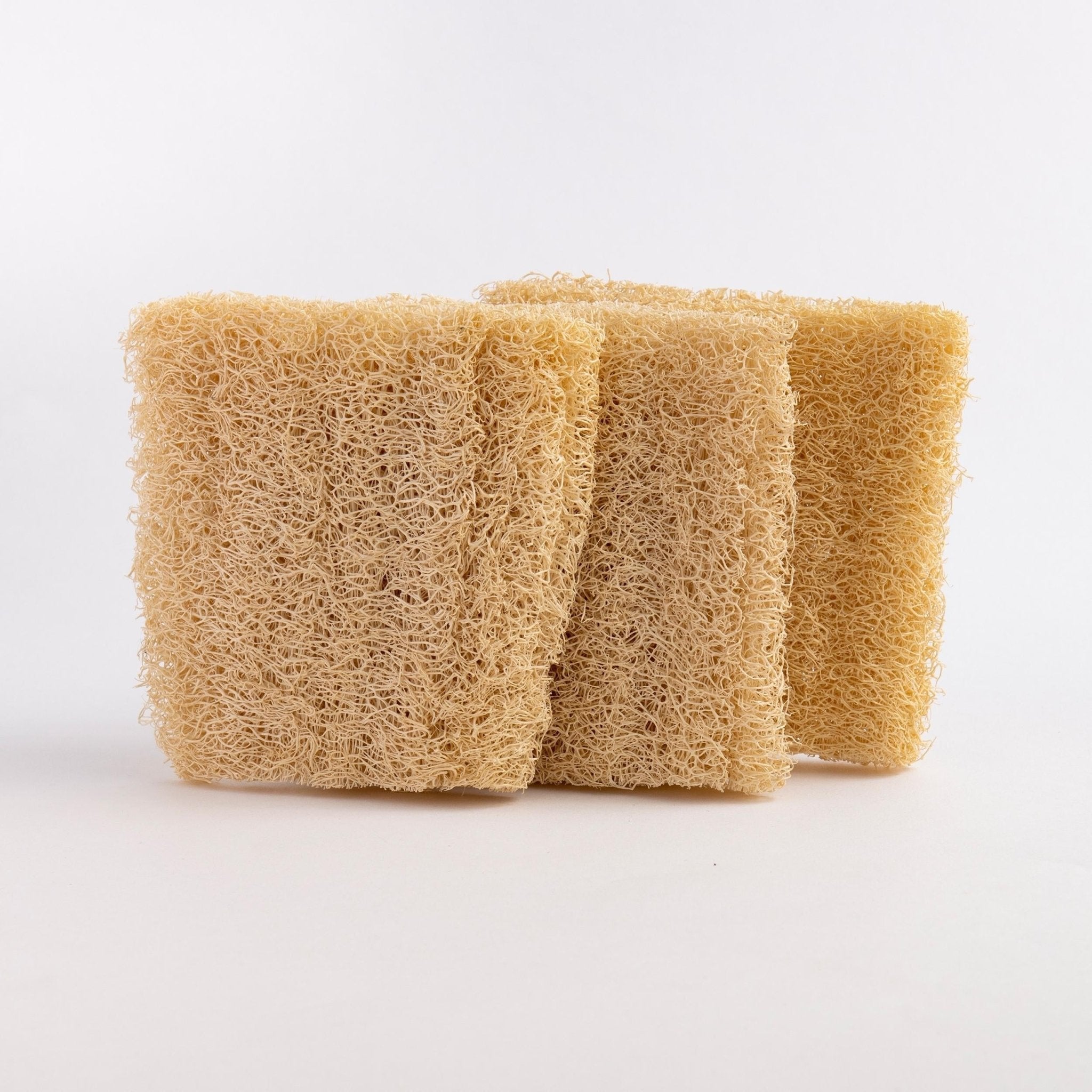 Eco Bath London Natural Loofah Dishwashing Sponges - Set of 3 - REGN