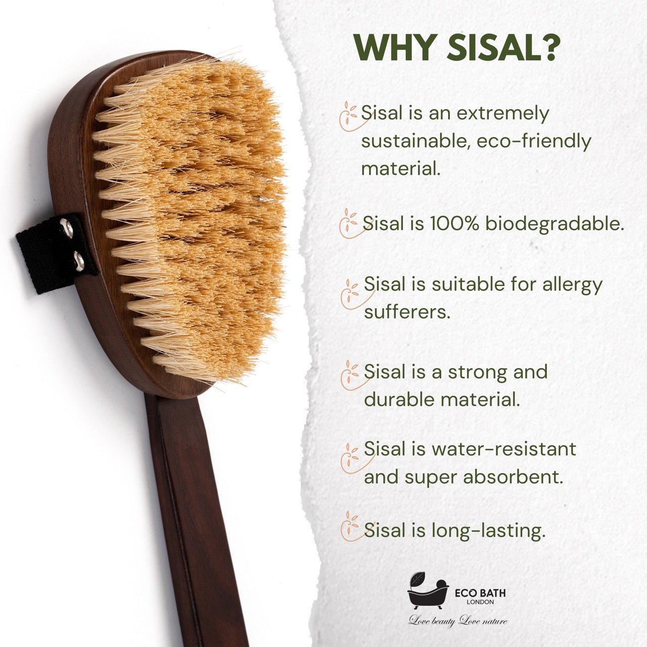 Eco Bath London Natural Sisal Walnut Wood Body Brush - Luxurious Dry Brushing Body Brush - REGN