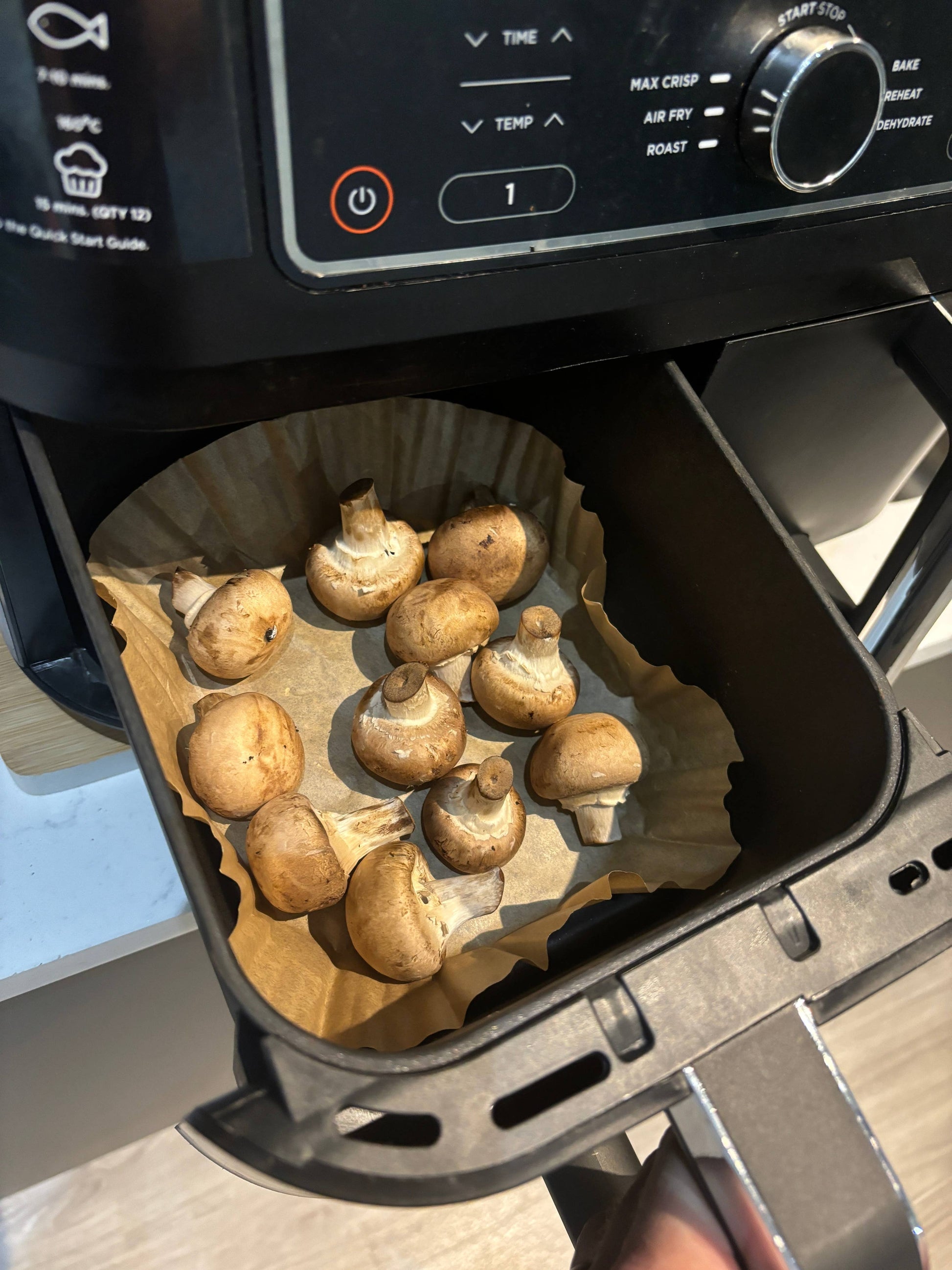 Eco Green Living Compostable Air Fryer Liners 50 Pack – Plastic - Free & Grease - Resistant - REGN