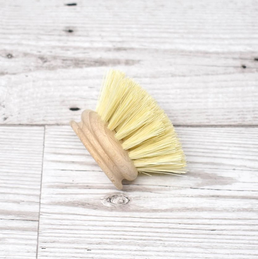 Eco Living Natural Bristle Dish Brush Head – Replacement For Dish Washing Brush - REGN