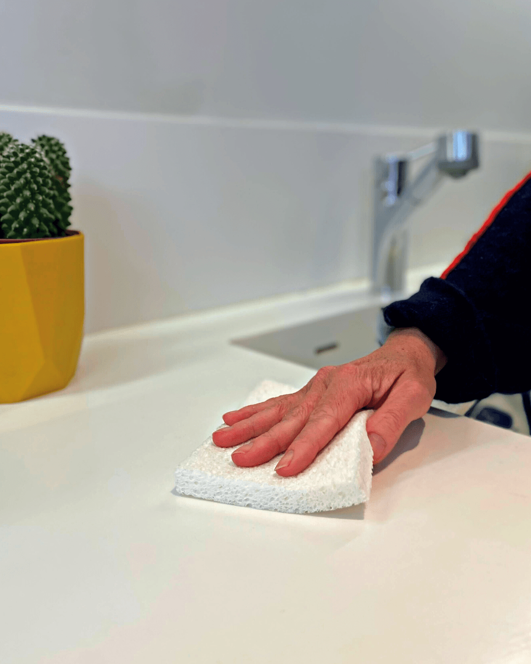 Eco Pop - Up Sponges 2 - Pack | Plastic - Free Cellulose Sponges Made in UK - REGN