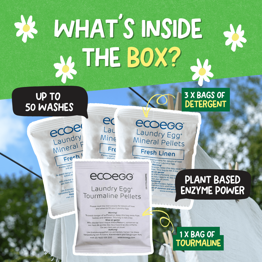 EcoEgg Enzyme Laundry Detergent – Sensitive Skin, Aquatic - Friendly, Vegan Formula - REGN