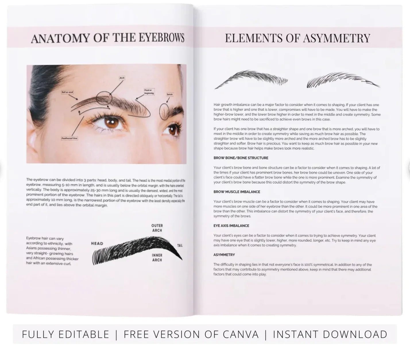 Eyebrow Mapping Course Editable Training Manual - REGN