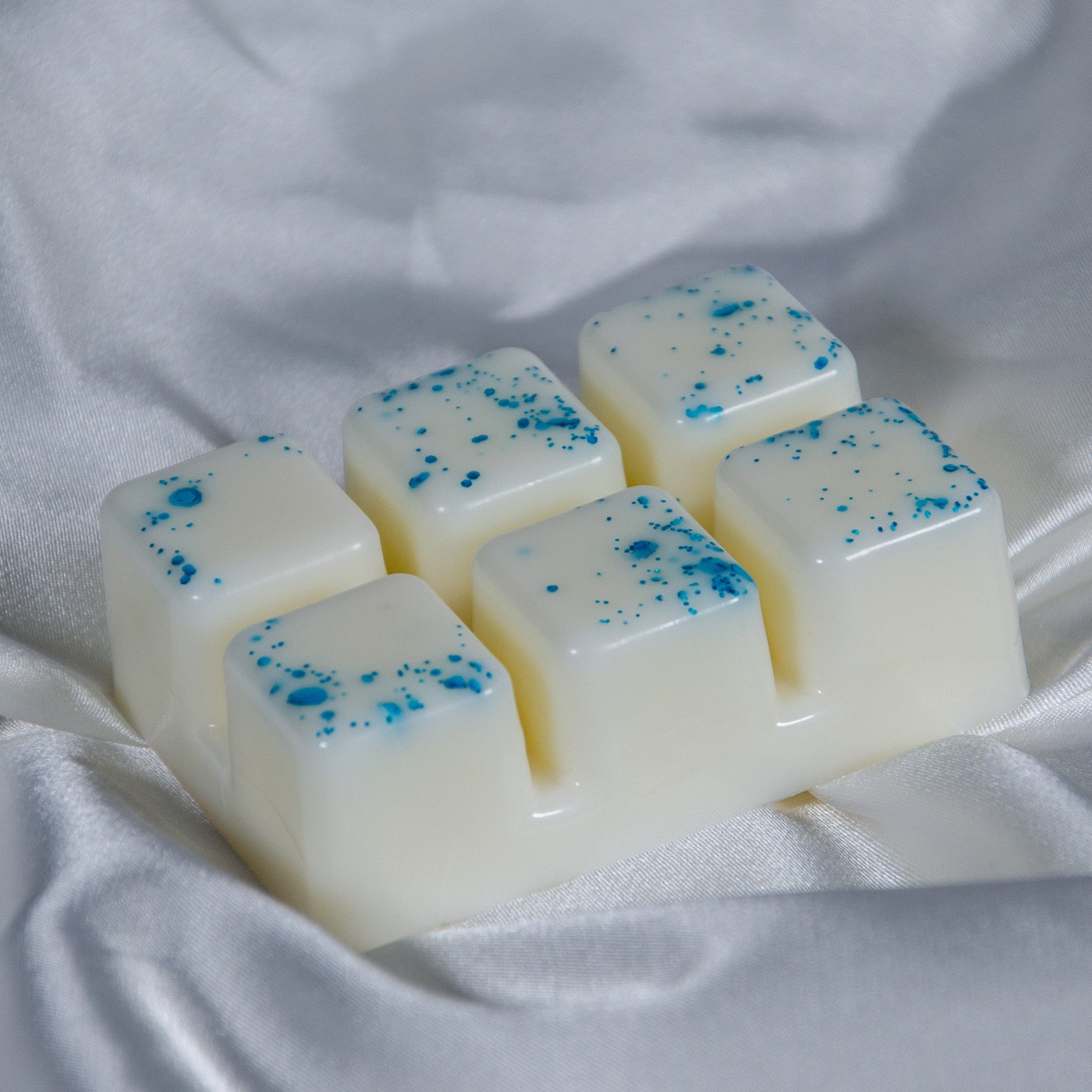 Fairy Dust - Wax Melt Clamshell - REGN