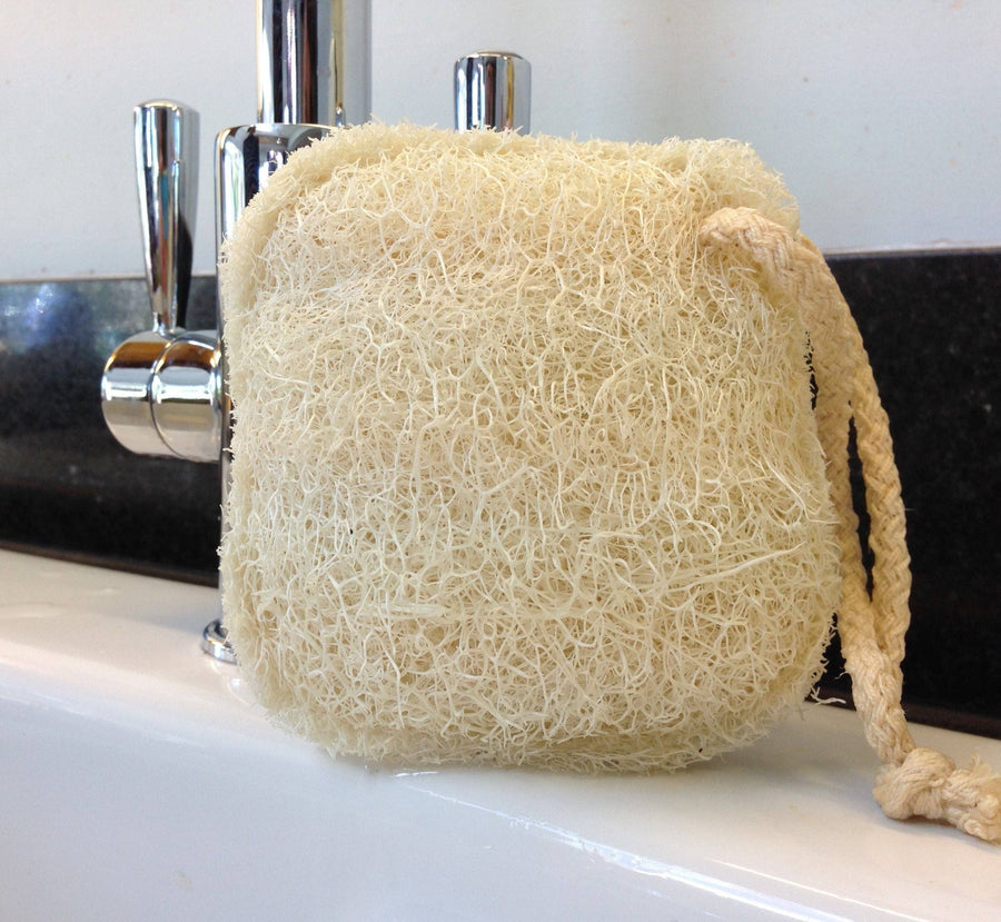 LoofCo Cleaning Pad – Natural Loofah Scrubber for Surfaces