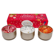 Festive Trio Candle Gift Set – Cranberry, Snowflake and Gingerbread - REGN