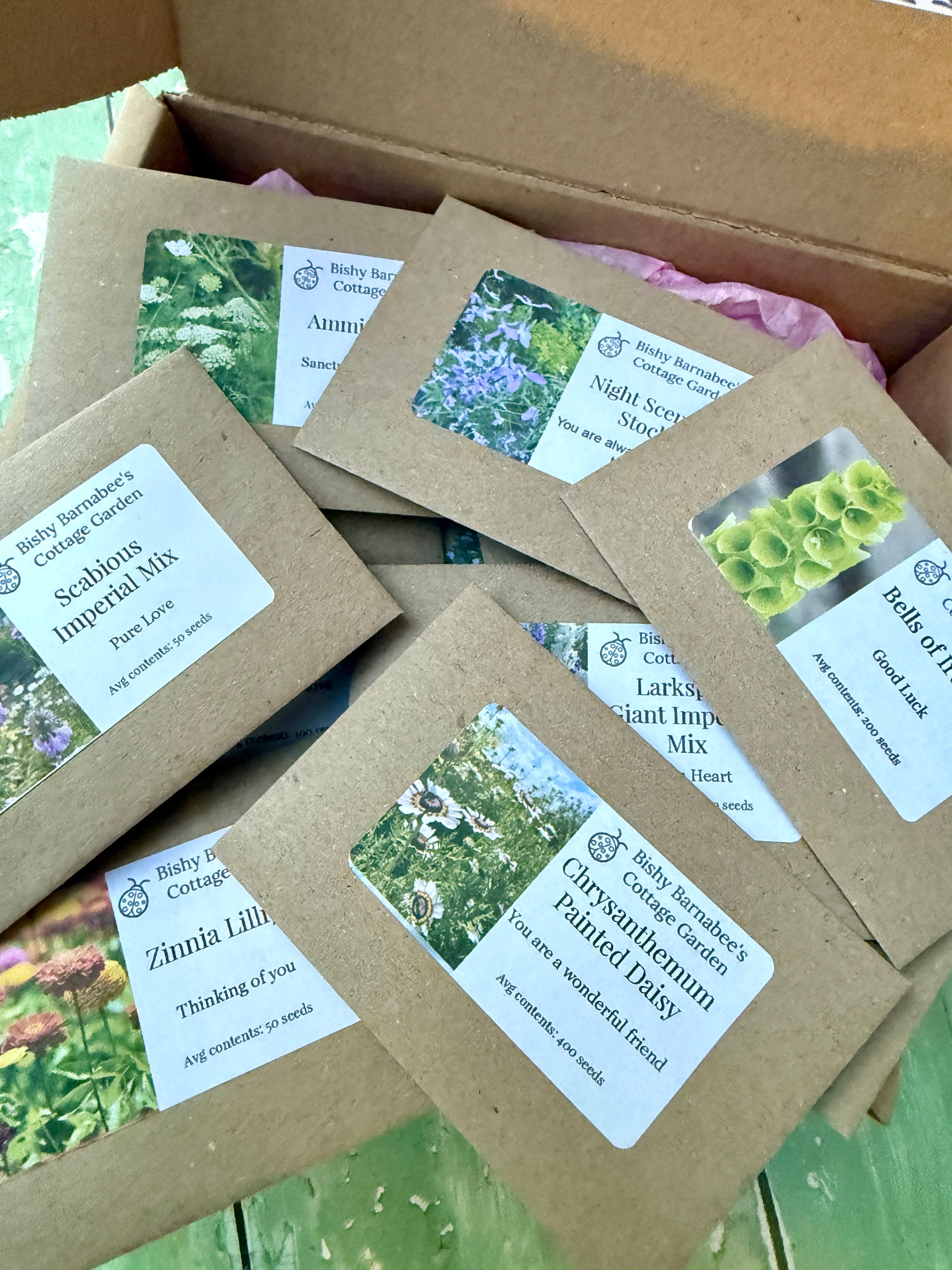 Floriography: The Little Box of Love - REGN