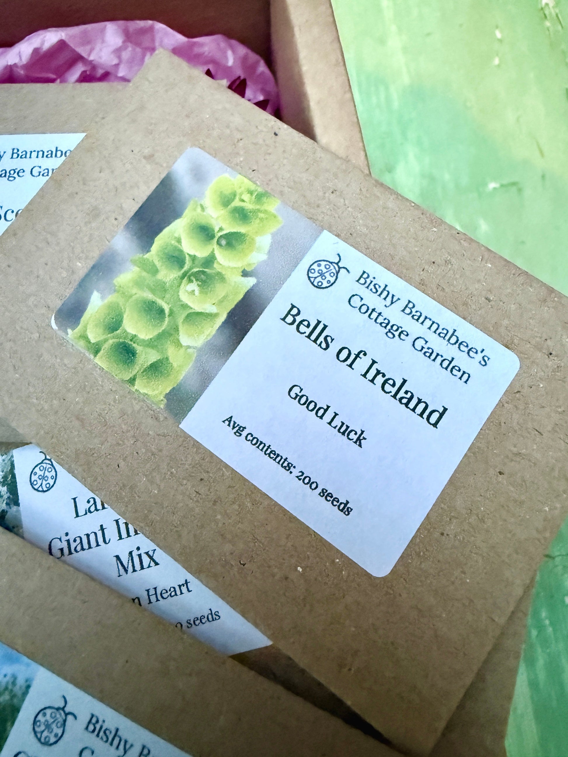Floriography: The Little Box of Love - REGN