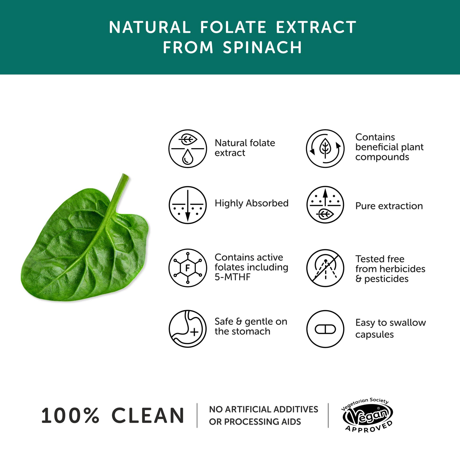 Folate – Natural Alternative to Folic Acid – 30 Capsules - REGN