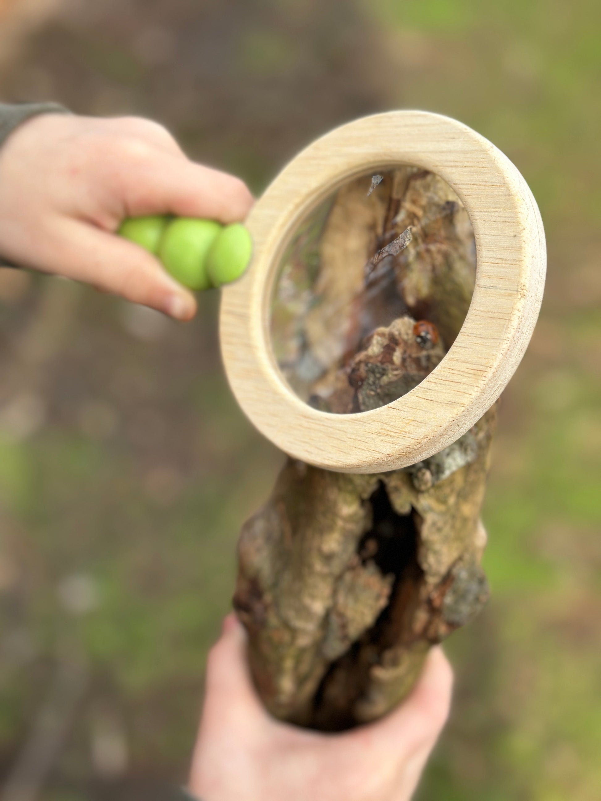 Forest Trail Kit - REGN