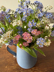 Forget-me-not Victoria Mixed - REGN