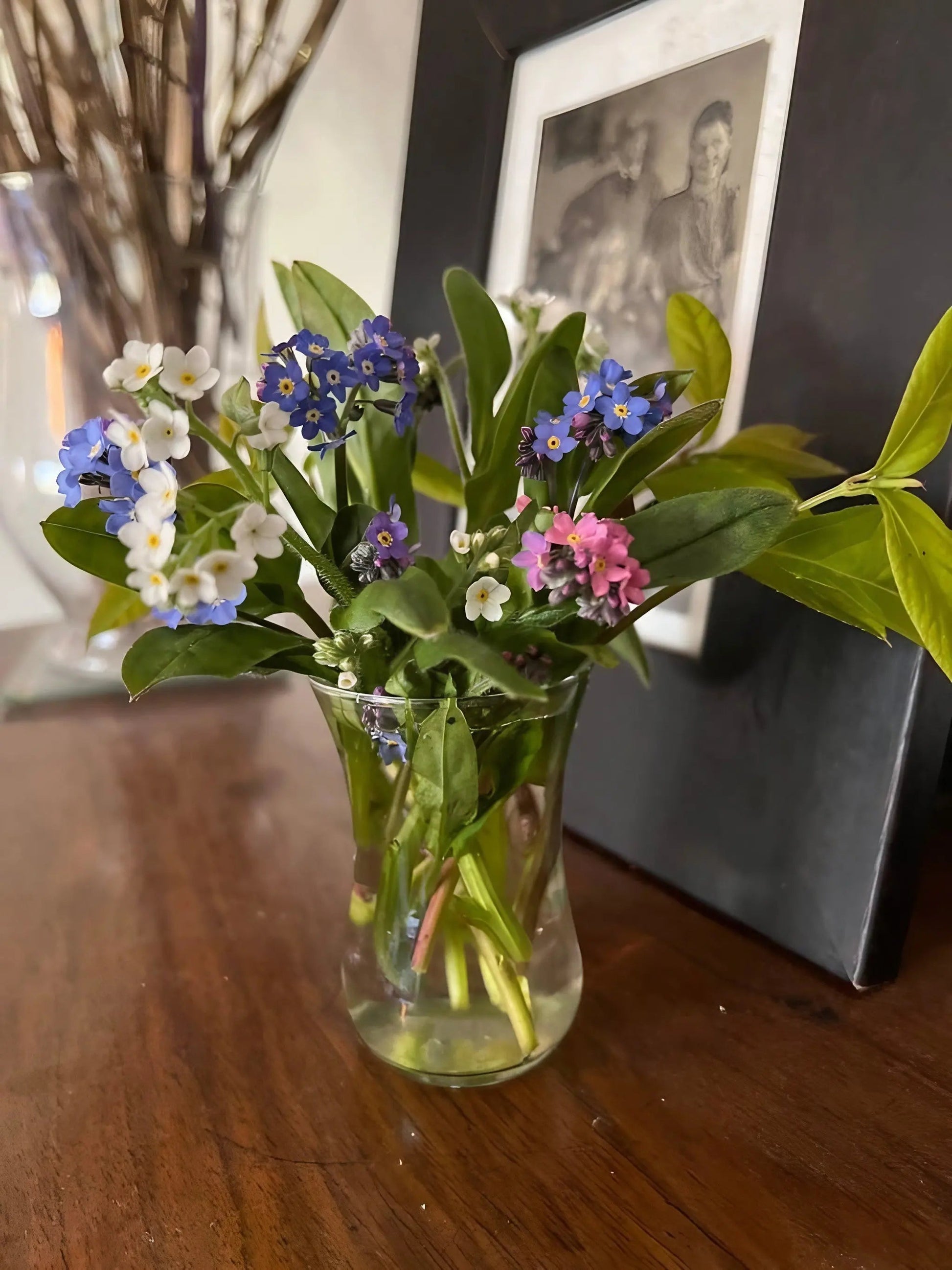 Forget-me-not Victoria Mixed - REGN