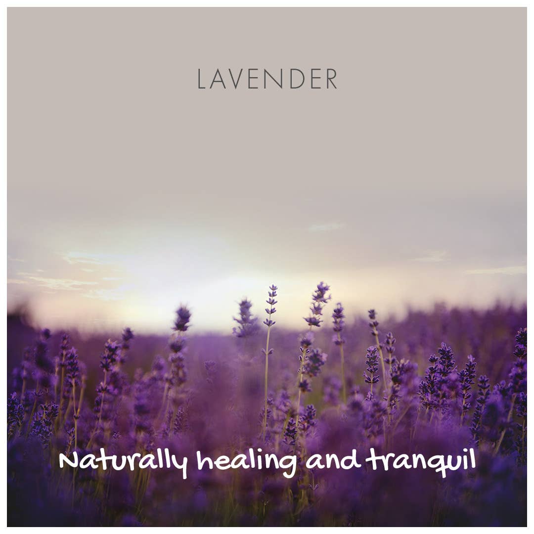 Friendly Soap Lavender Soap Bar | Plastic-Free Vegan Body Soap - REGN