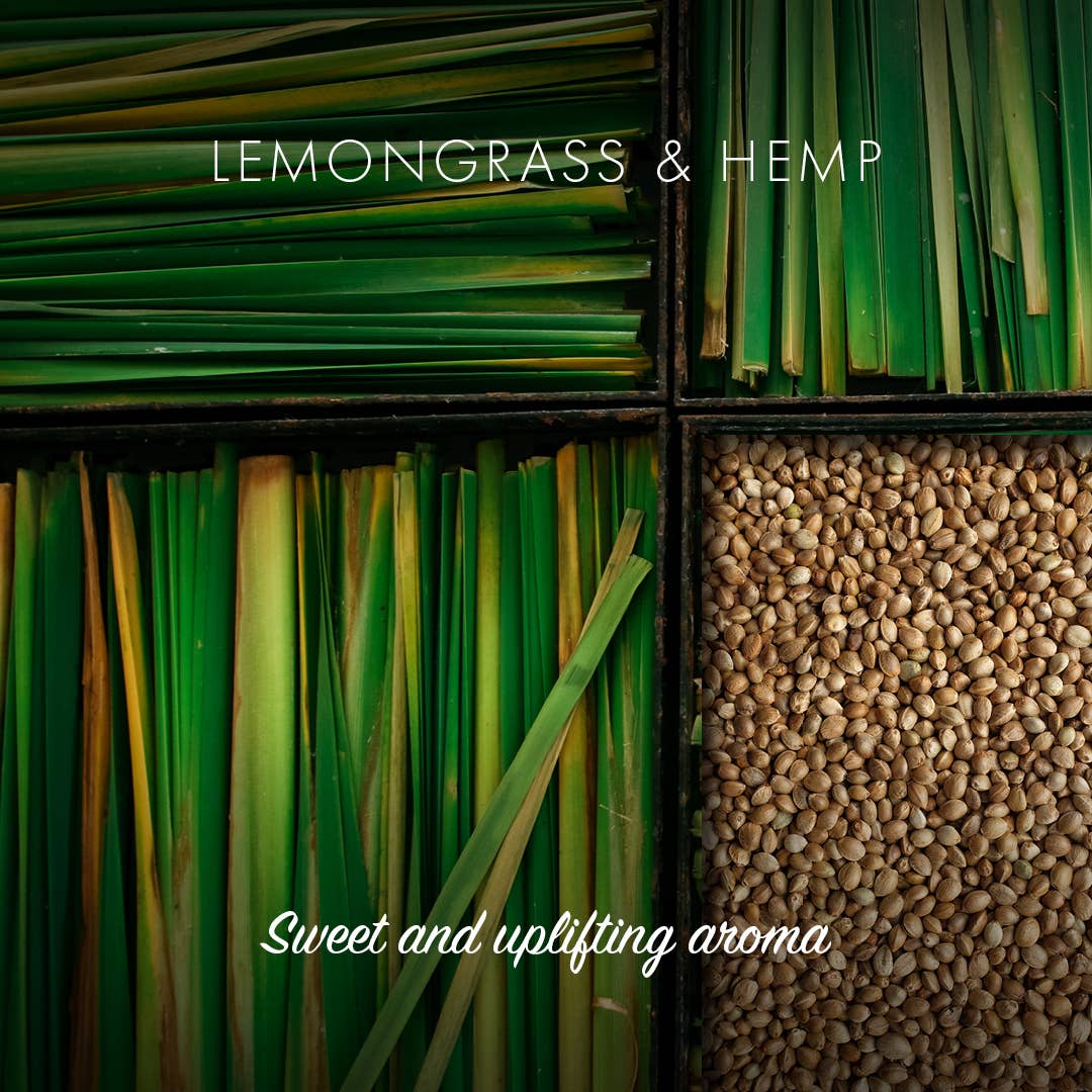 Friendly Soap Lemongrass Soap Bar | Plastic-Free Vegan Soap - REGN