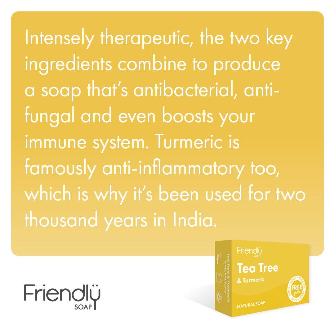 Friendly Soap Tea Tree & Turmeric Soap Bar | Plastic-Free - REGN