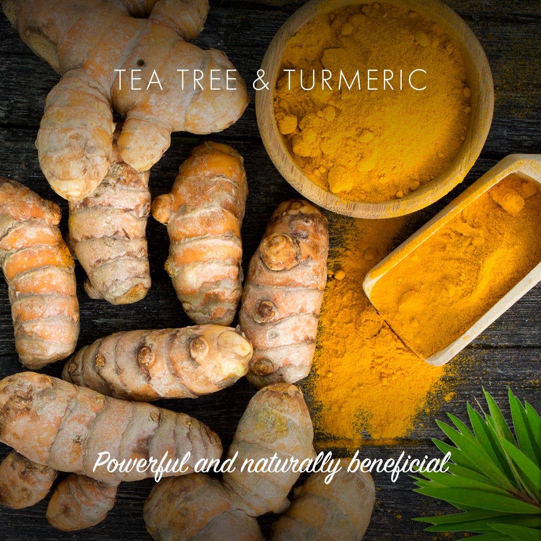 Friendly Soap Tea Tree & Turmeric Soap Bar | Plastic-Free - REGN
