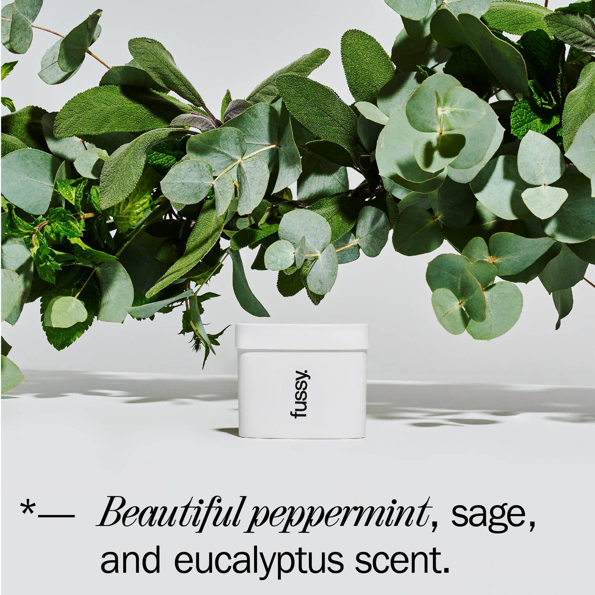 Fussy Refillable Natural Deodorant - Wavy Days - REGN