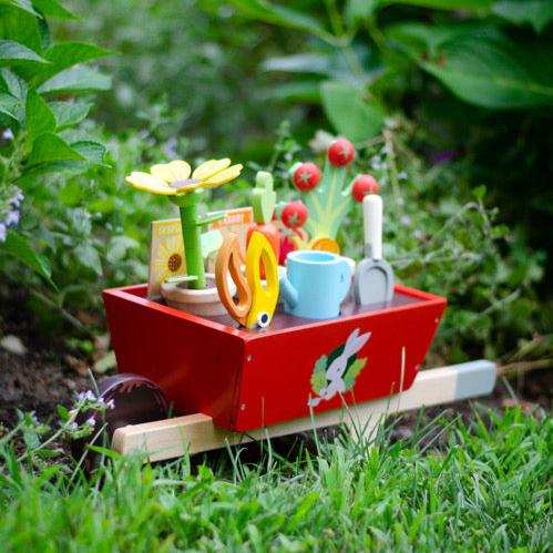 Garden Wheelbarrow Set - REGN