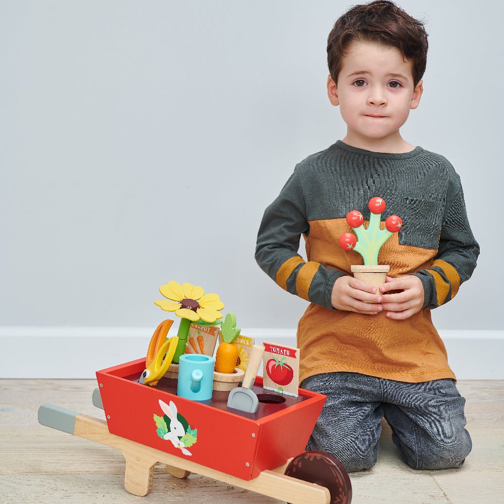 Garden Wheelbarrow Set - REGN