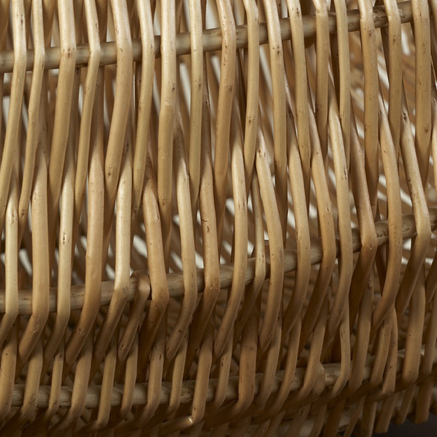 Gondola Shopper - REGN