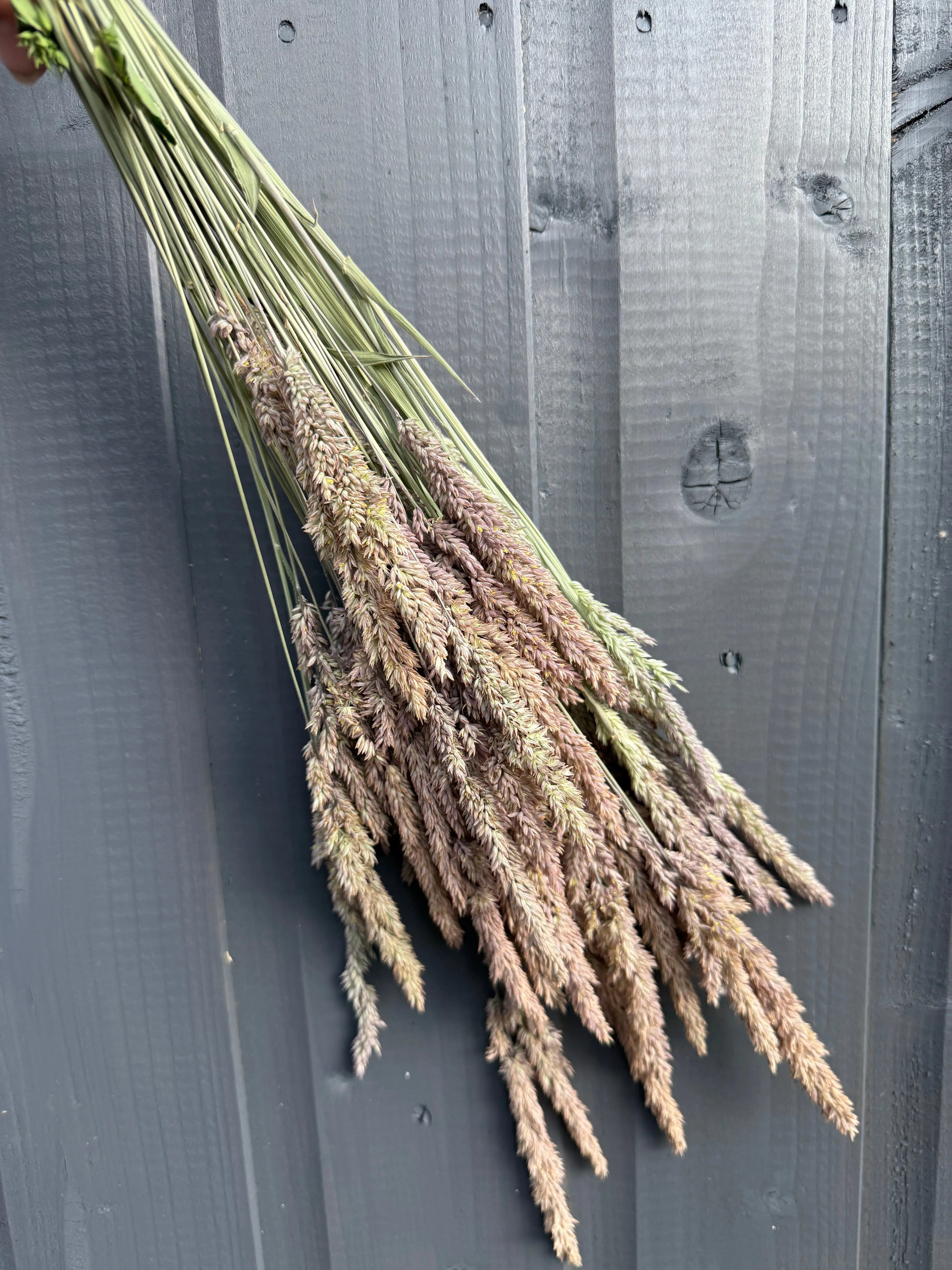 Grass Mixed Dried - REGN