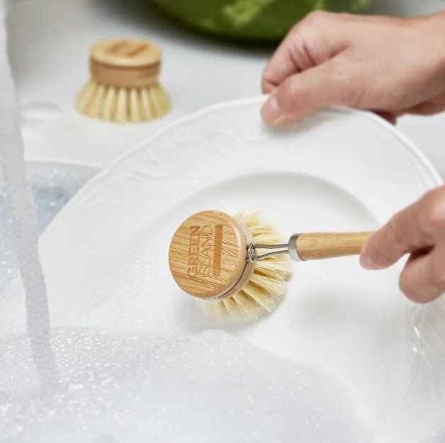 Green Island Replaceable Dish Washer, Plastic Free Eco Friendly Kitchen Brush - REGN