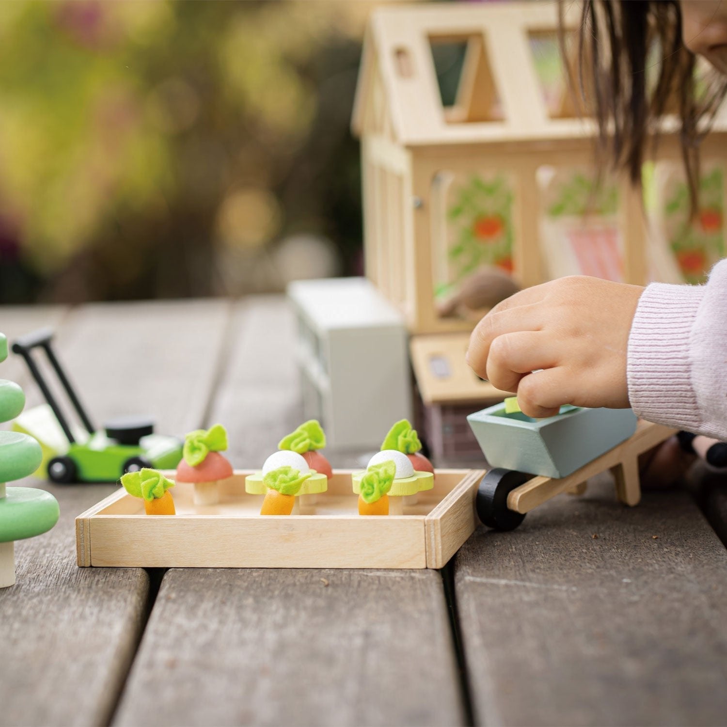 Greenhouse and Garden Set - REGN