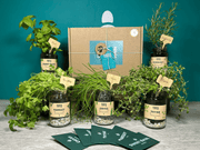 Grow Your Own Herbs Gift Set - REGN