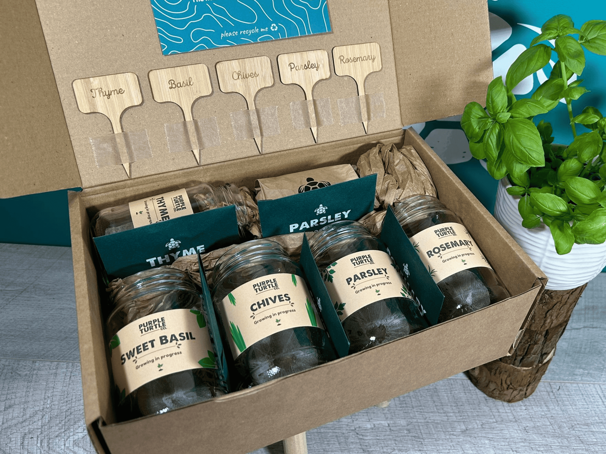 Grow Your Own Herbs Gift Set - REGN