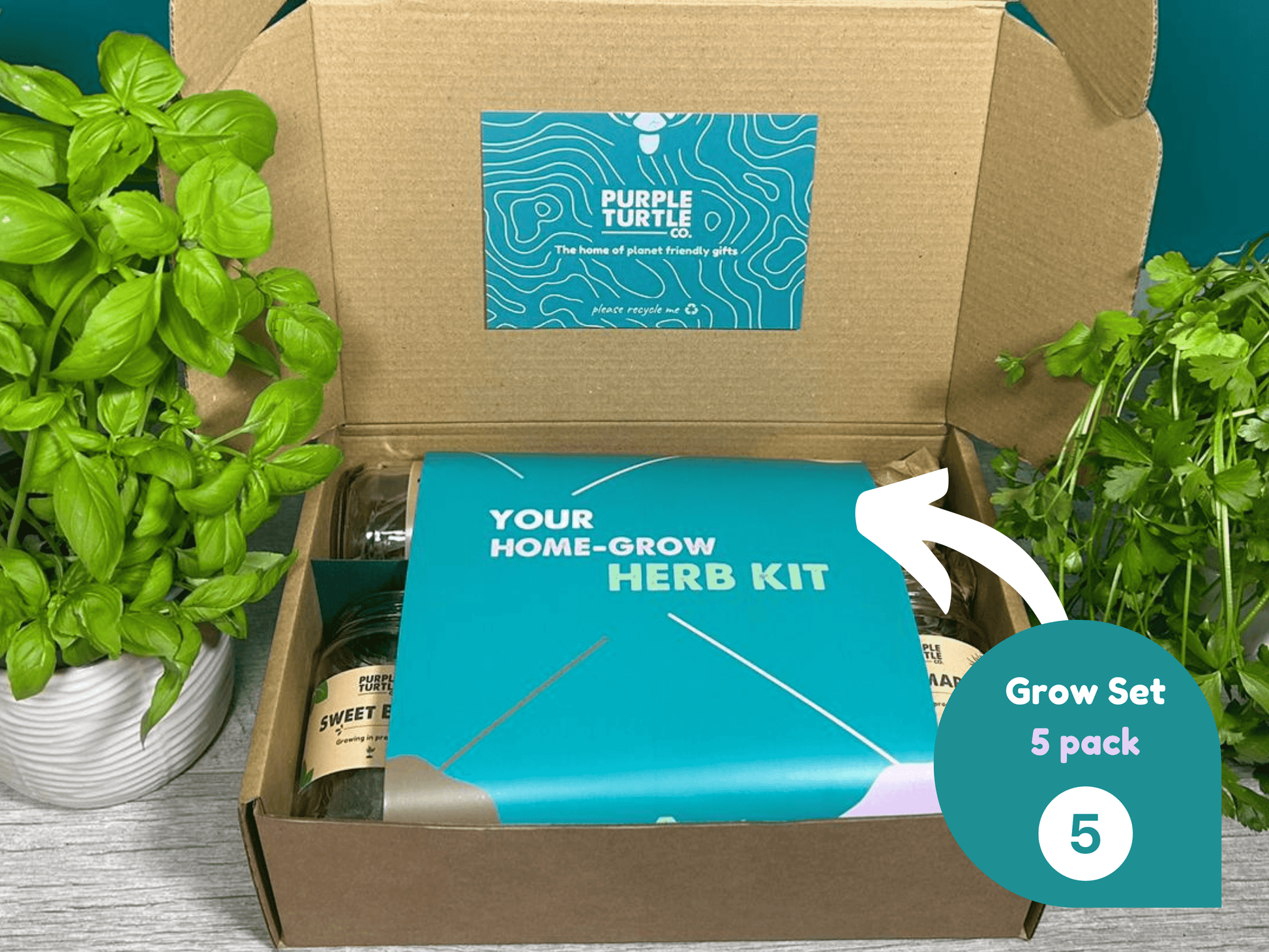 Grow Your Own Herbs Gift Set - REGN